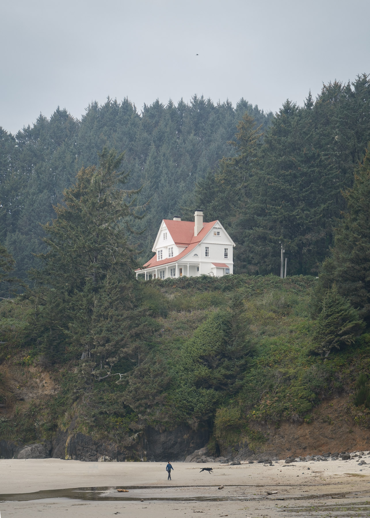 Pacific Northwest Road Trip photo titled Pacific Coast 77